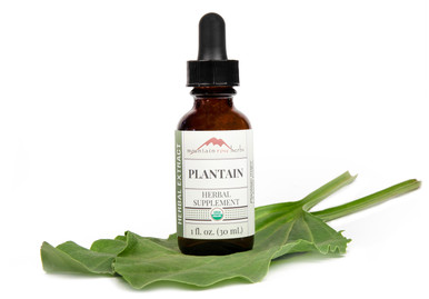 Plantain Extract