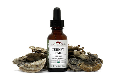 Turkey Tail Extract