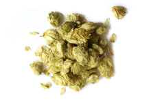 Hops Flowers Organic