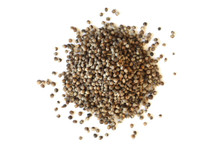 Vitex Berries Organic