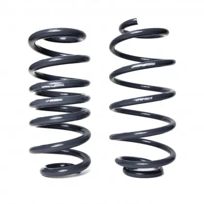 Lethal Performance Explorer ST Lowering Springs LP-SPR-20225 - JDM
