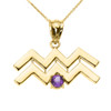 Yellow Gold Aquarius Zodiac Sign February Birthstone Pendant Necklace
