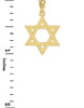 Yellow Gold Jewish Star of David Charm Pendant Necklace (Small)