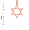 Solid Rose Gold Jewish Star of David Pendant Necklace (Large)