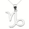 Sterling Silver Capricorn January Zodiac Sign Pendant Necklace