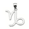 Sterling Silver Capricorn January Zodiac Sign Pendant Necklace