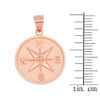Rose Gold Compass Medallion Pendant Necklace