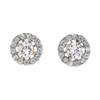 Halo Diamond Stud Earrings in White Gold