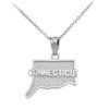 White Gold Connecticut State Map Pendant Necklace
