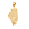 Yellow Gold Illinois State Map Pendant Necklace