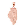 Rose Gold Illinois State Map Pendant Necklace