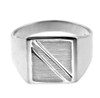 The Jove Solid White Gold Signet Ring
