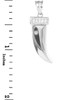 Tiger tooth fang pendant in sterling silver with cubic zirconias.