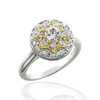 Double halo diamond engagement ring in 14k white and yellow gold.