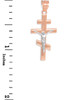 Two-Tone Rose Gold Eastern Orthodox Crucifix Pendant