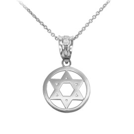 Sterling Silver Encircled Star of David Pendant Necklace