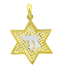 14K Yellow Gold Star of David Pendant with Chai