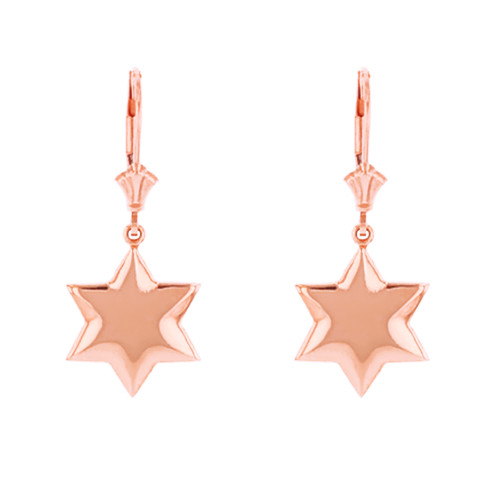 14K Solid Rose Gold Star Earring Set