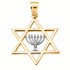 Gold Star of David with Menorah Pendant Necklace (Available in Two Tone Yellow / Two Tone Rose / White Gold)