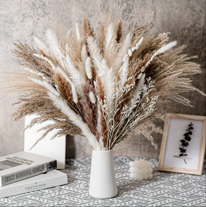 Dried Floral Stem Dried Floral Stem