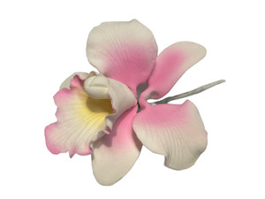 Gumpaste Catleya Orchid Pink Gumpaste Catleya Orchid Pink