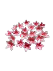 Handmade Frangipani Cake Decorations Handmade Frangipani Cake Decorations
