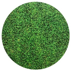 8 Inch Round Grass Design Cake Board. 6mm Thickness 8 Inch Round Grass Design Cake Board. 6mm Thickness