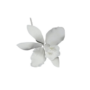 Gumpaste Cattleya Orchid White Gumpaste Cattleya Orchid White