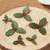 Holly Leaf Plunger Cutter - 2 Piece Set
