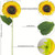 Artificial sunflower cake decoration with bright yellow petals