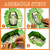 Halloween Coffin Treat Boxes 8 Pack in assorted orange purple green and blue spooky designs