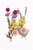 Pressed flower arrangement – pink and yellow wildflowers