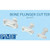 PME Bone Plunger Cutter Set of 3 for fondant and cake decorating