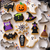 Halloween Cookie Cutter Set 12 Piece with assorted bat, pumpkin, ghost, witch hat and coffin shapes