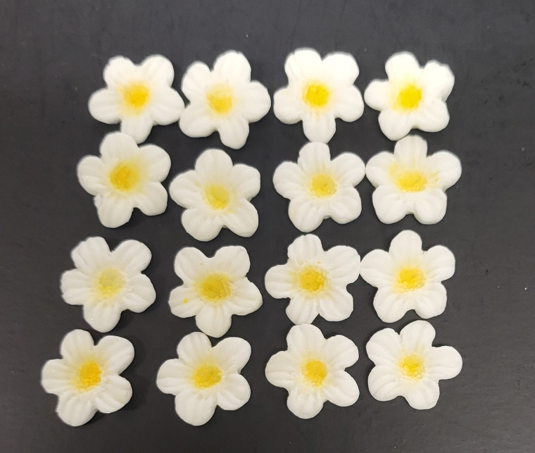 Mini Daisy Edible Cake Decorations x16. Gluten Free