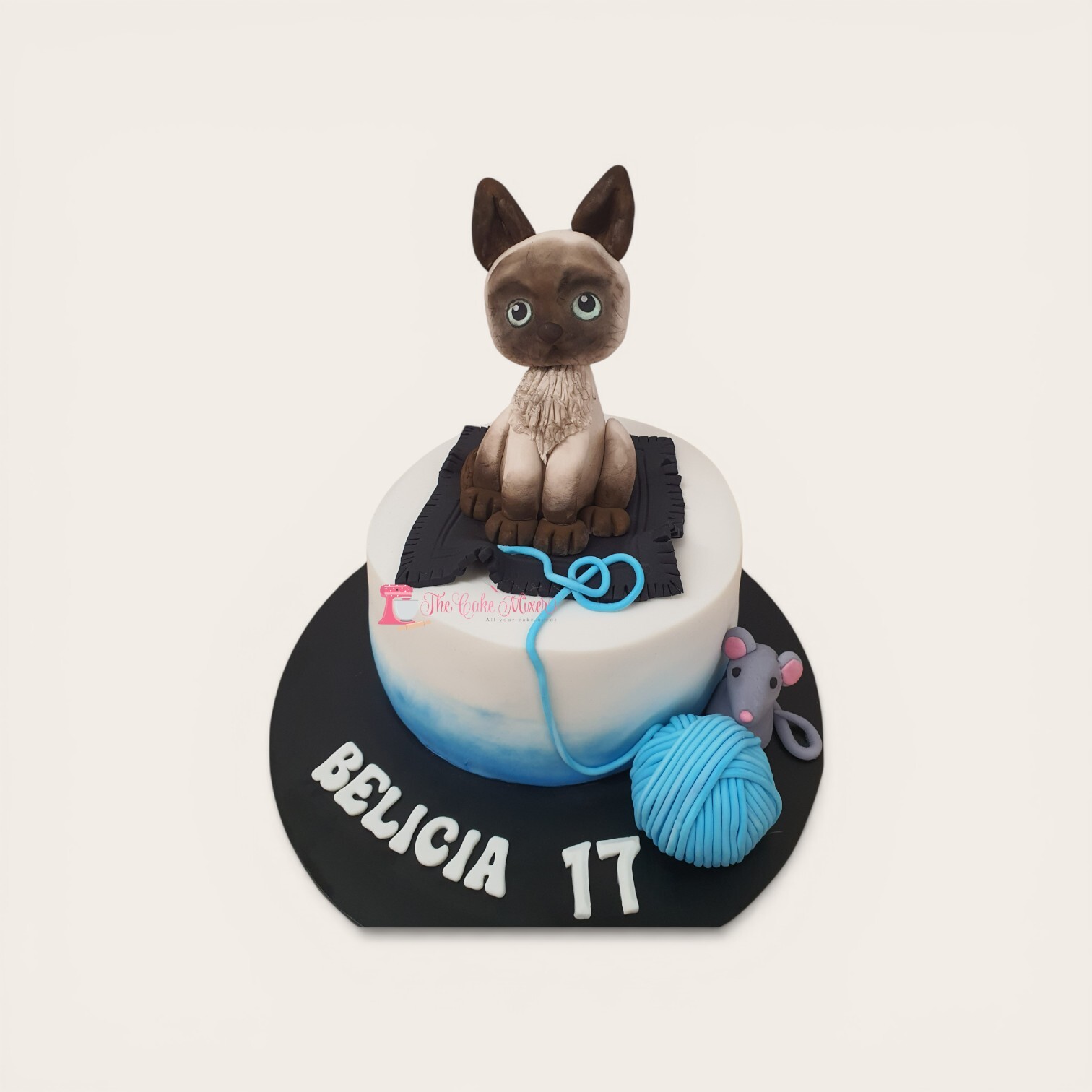 17th birthday cat cake.jpg