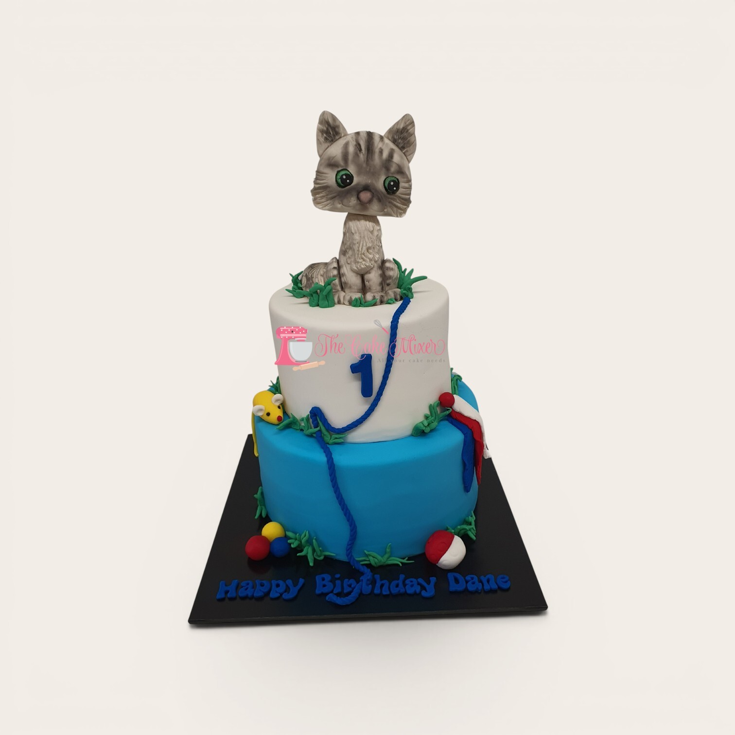 1st birthday cat cake 2 tier.jpg