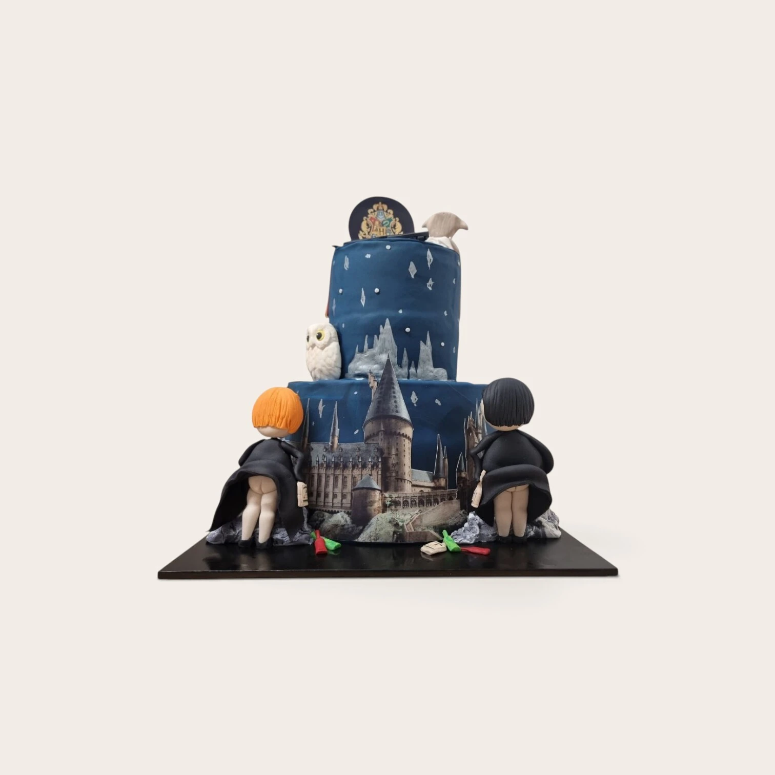 21st cake harry potter 2 tier.jpg