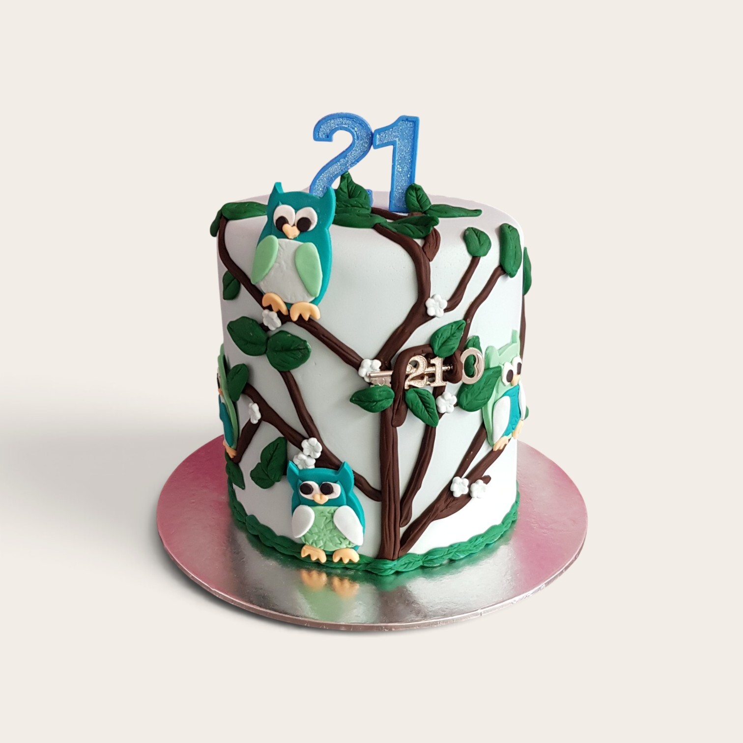 21st owl cake.jpg