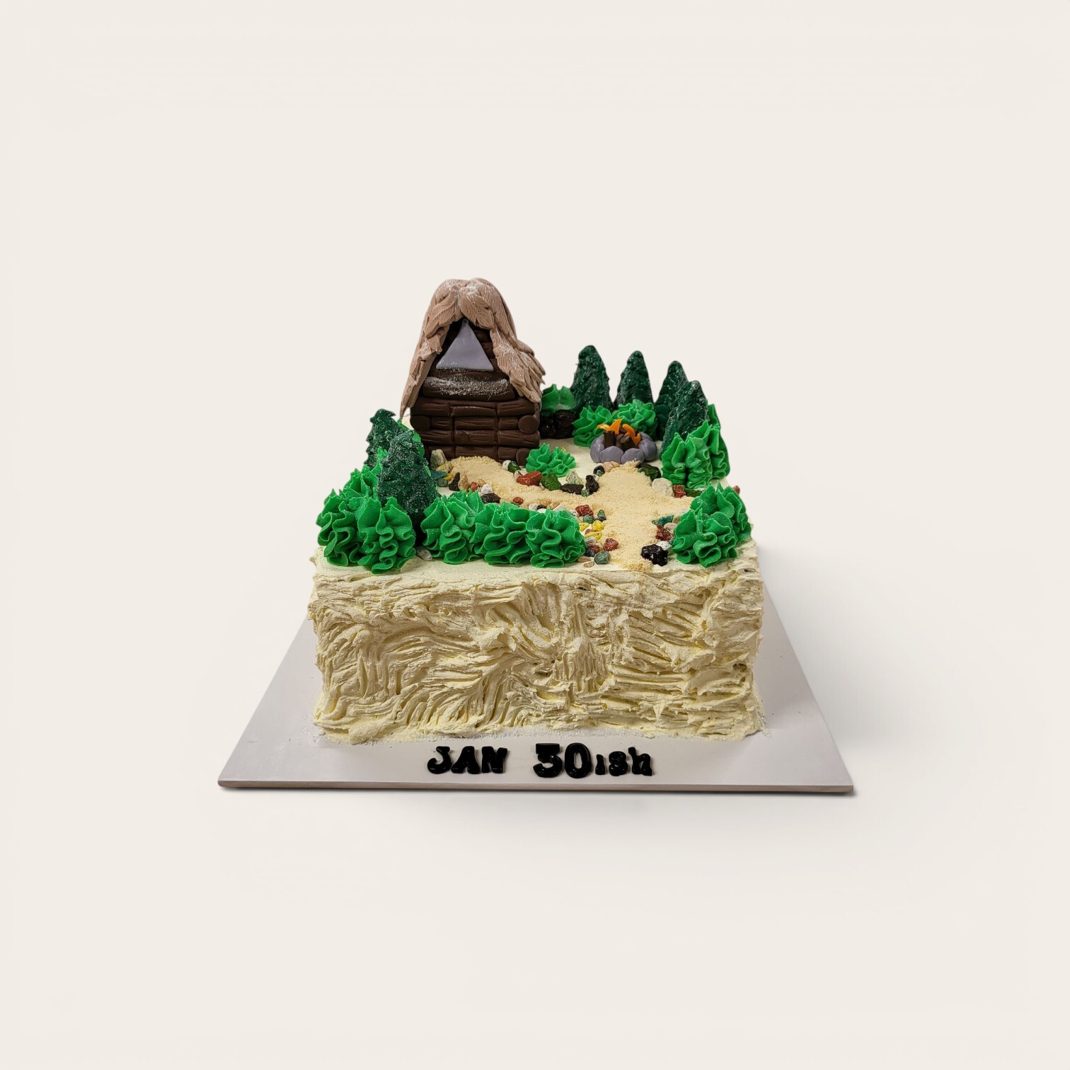 adventure camp cake.jpg