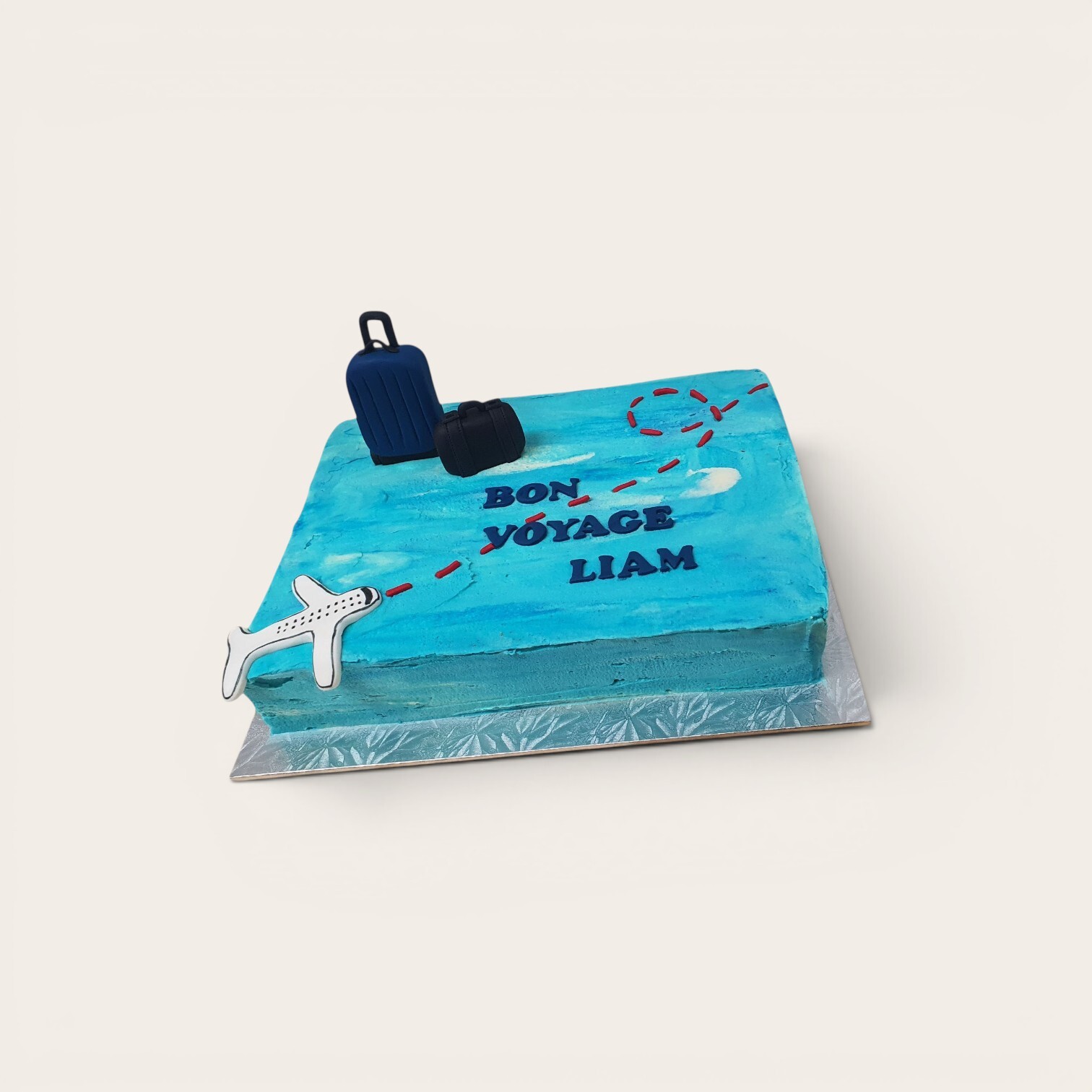 bon voyage cake.jpg