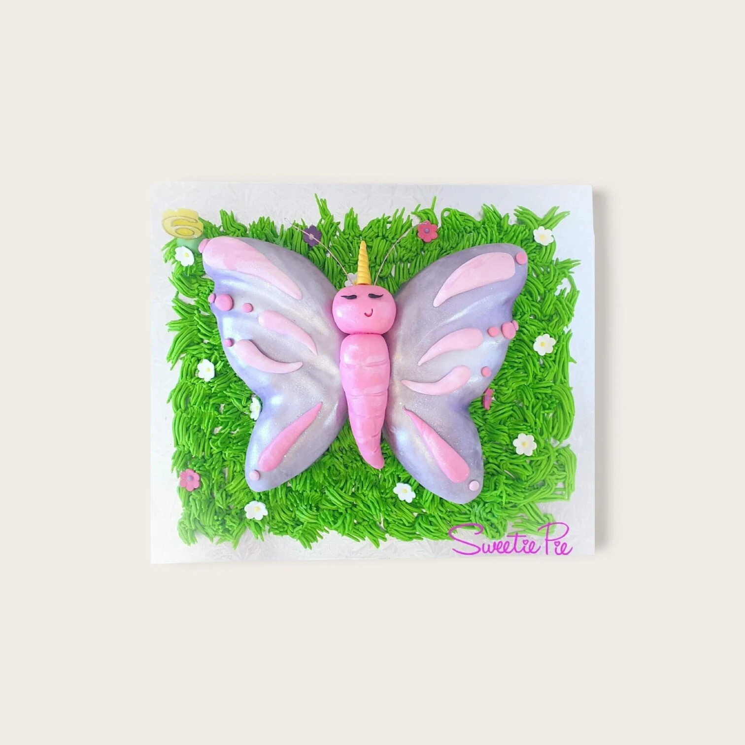 butterfly shiimmer cake.jpg