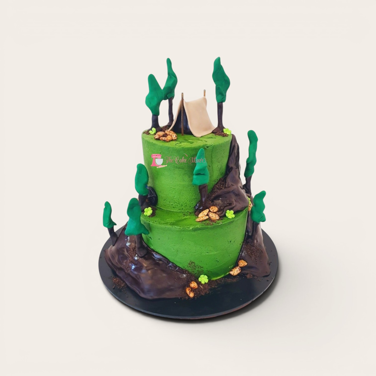 camping adventure cake.jpg