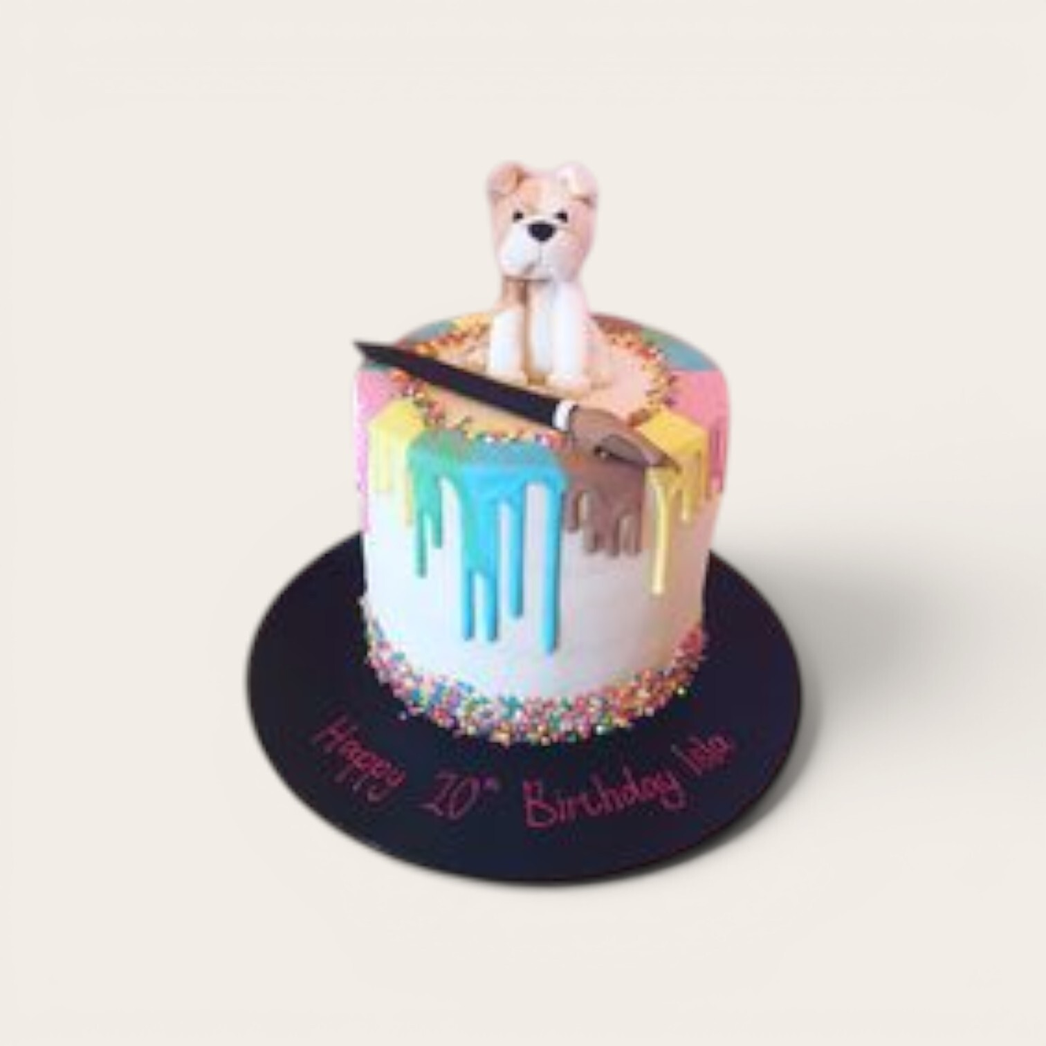 dog drip cake.jpg