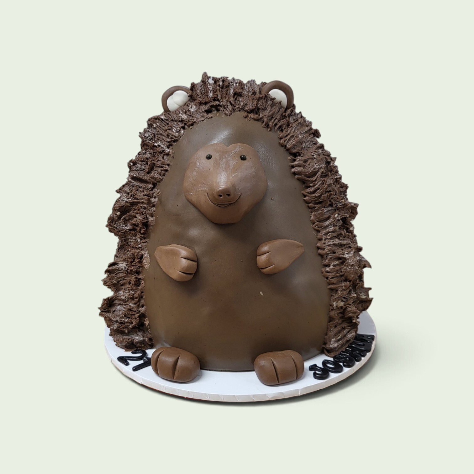 hedgehog cake.jpg