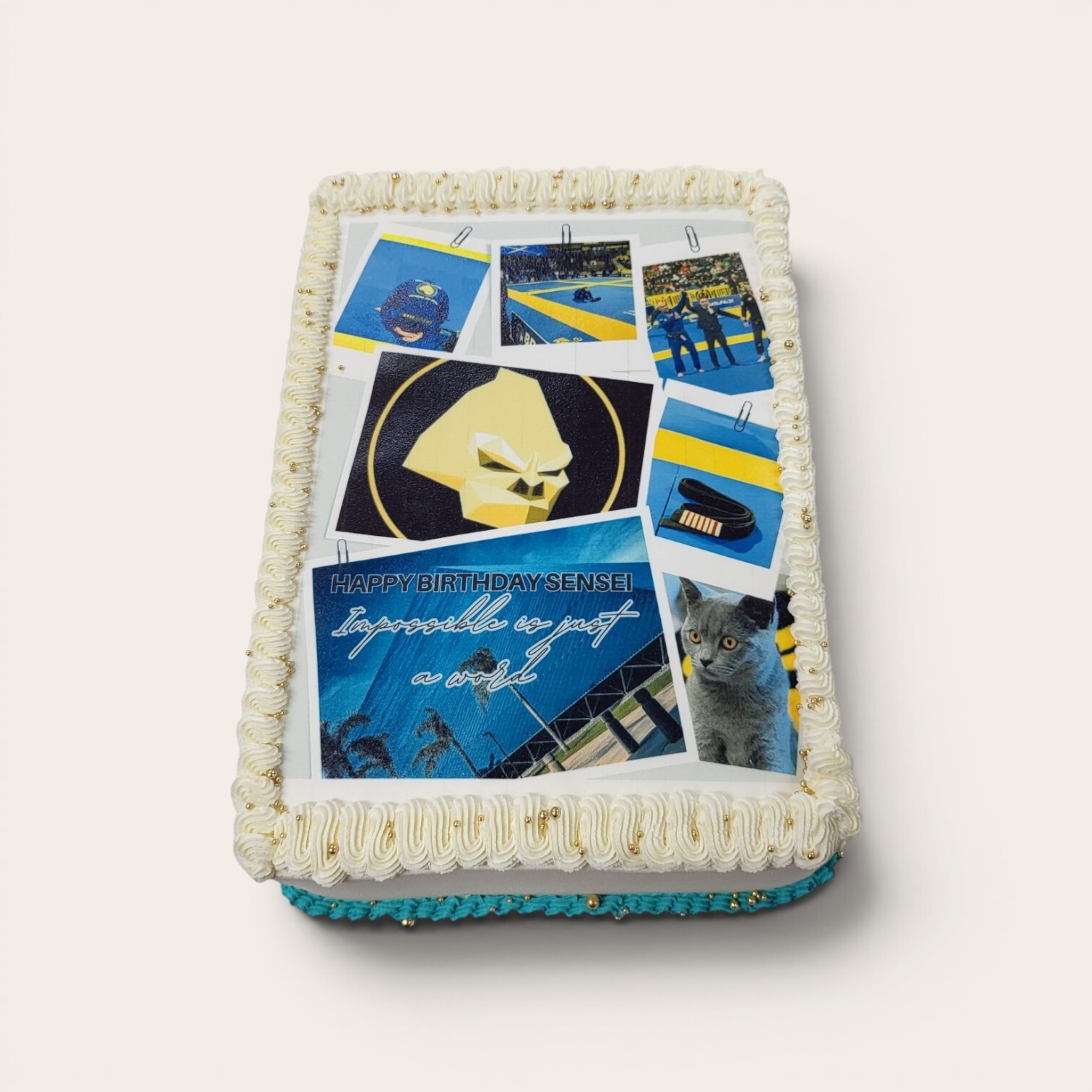 martial arts slab cake.jpg