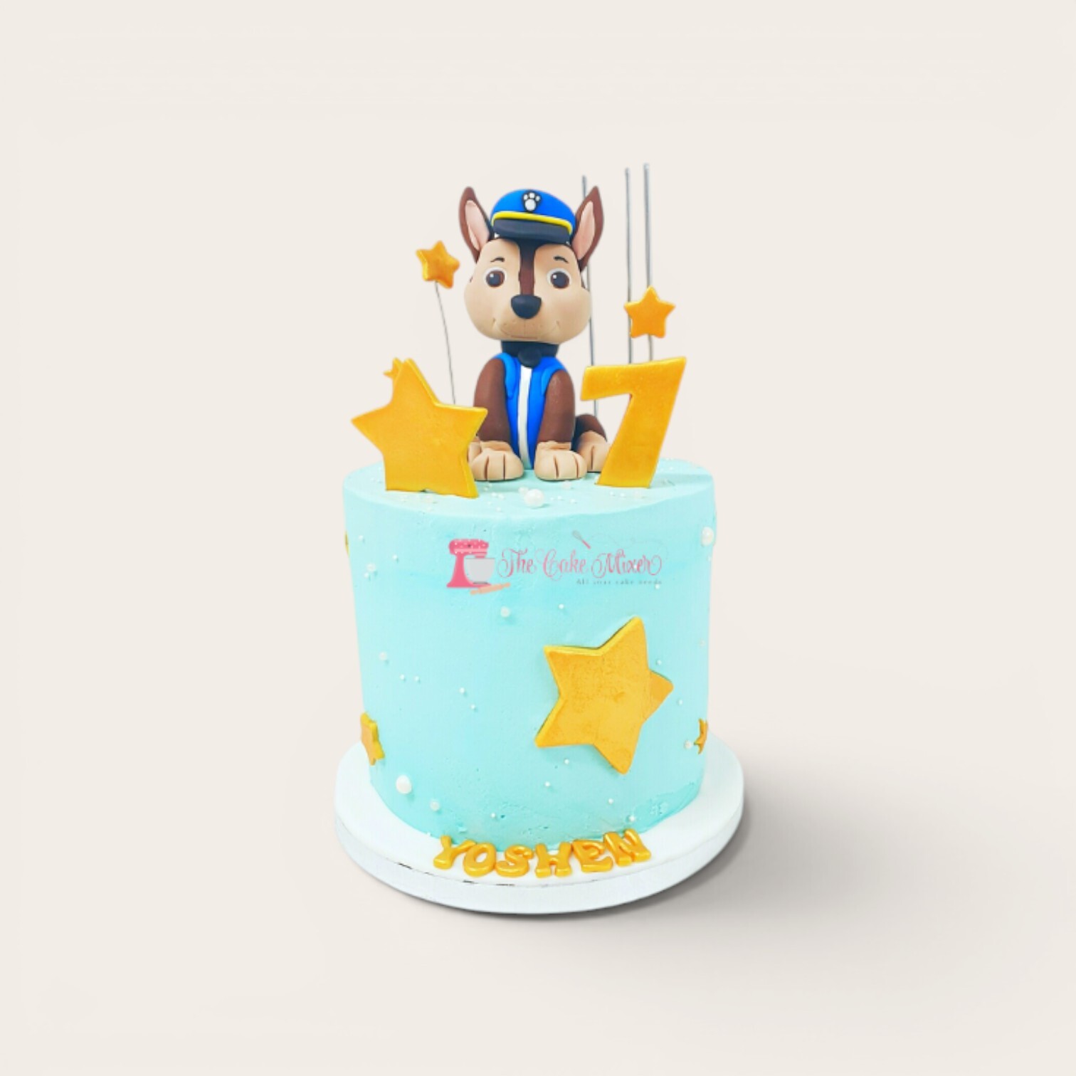 paw patrol buttercream cake.jpg