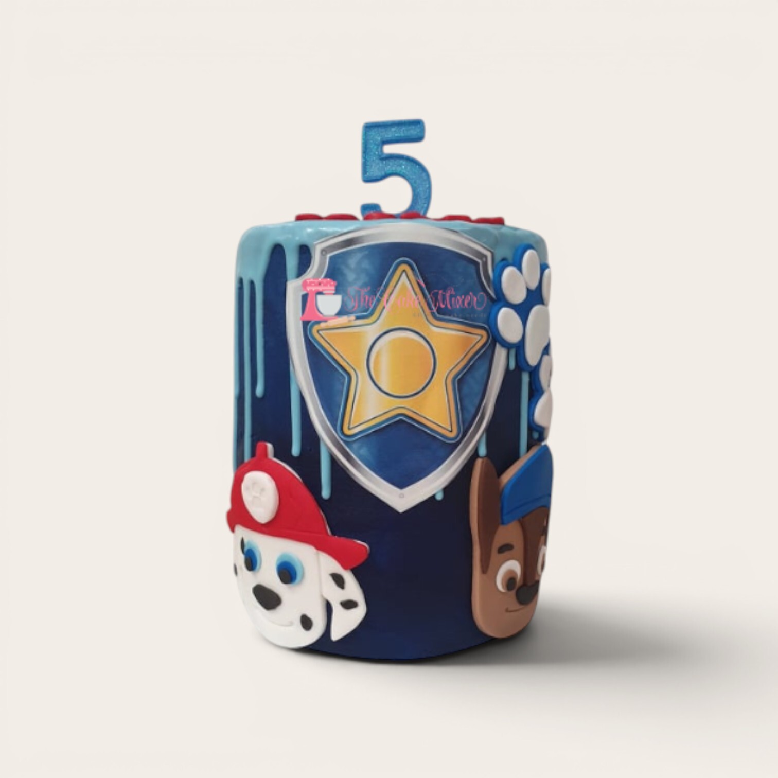 paw patrol character drip cake.jpg