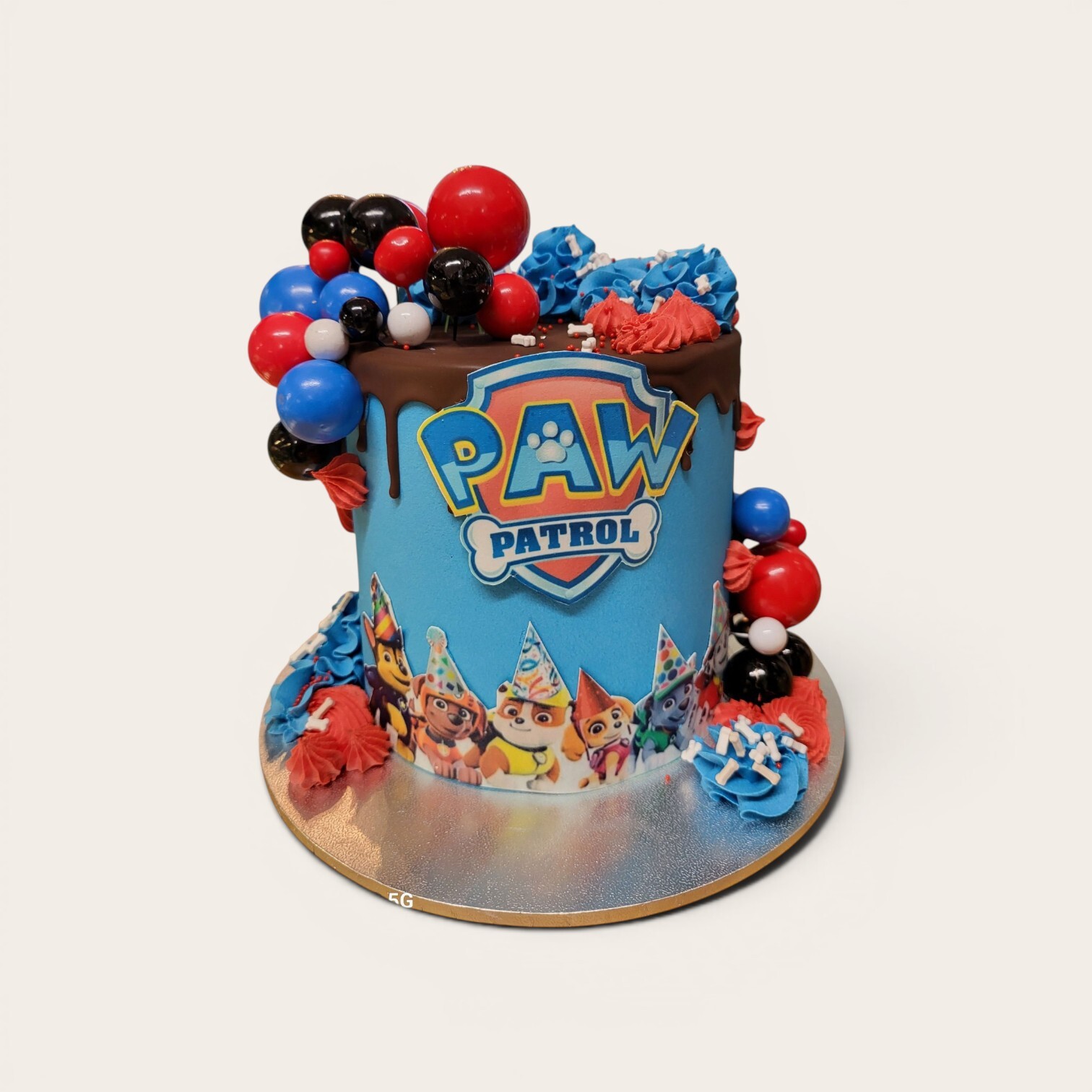 paw patrol choc drip cake.jpg