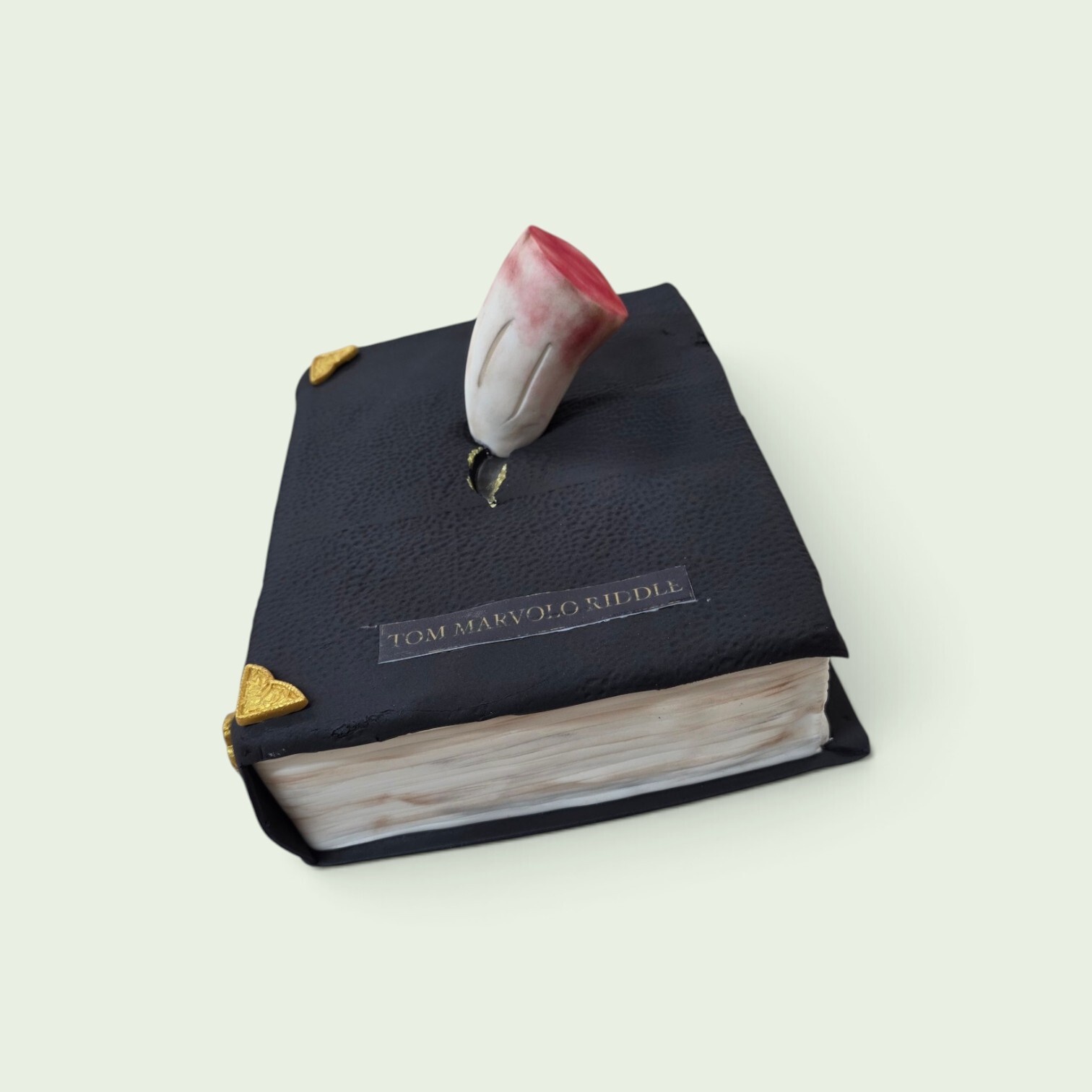 tom riddle diary cake.jpg